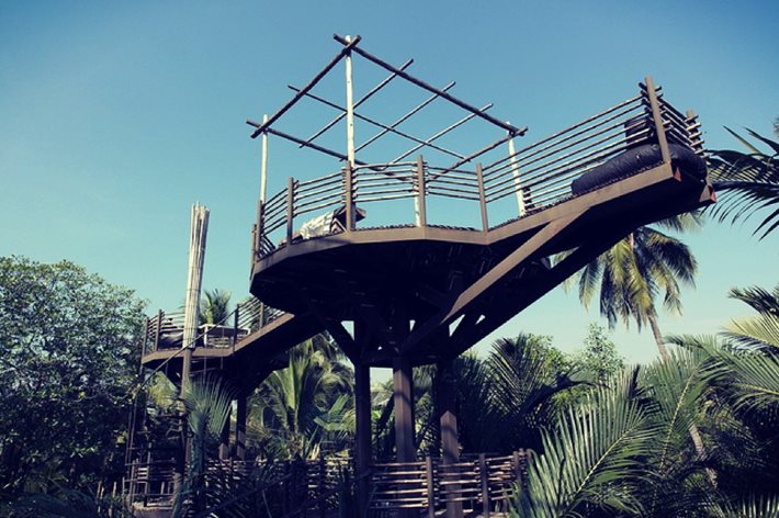 2.jpg Bangkok Tree House
