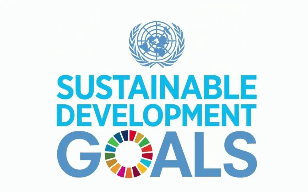 SDG main image