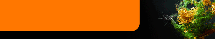 Blog-Native-Banner_Dengue 13 Feb