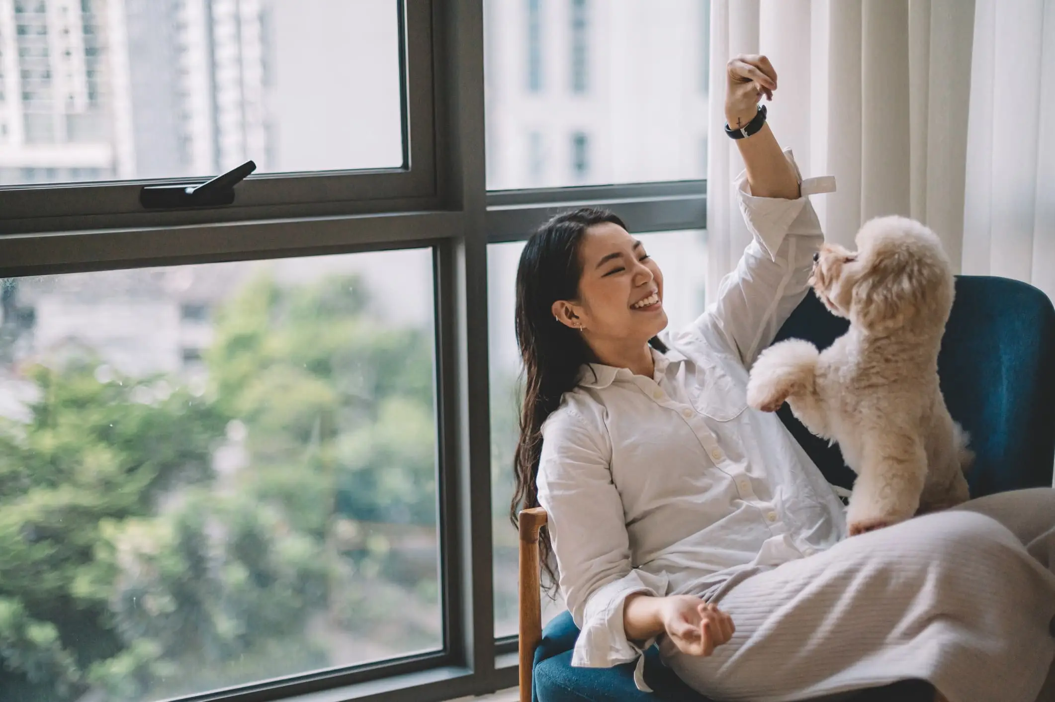 Owner playing with dog​
