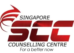 Income Child Secure Project - Partner - SCC