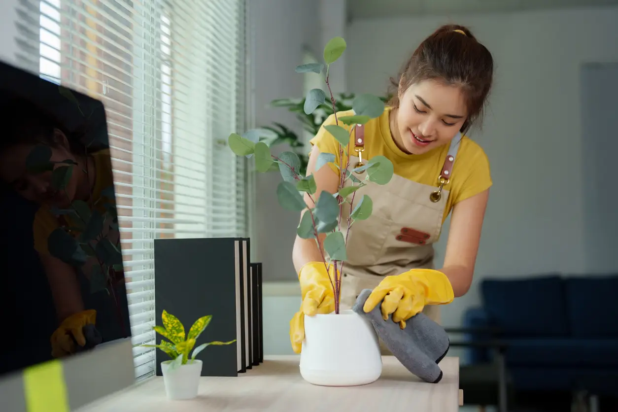 domestic-helper-clean-desk