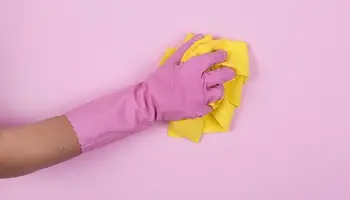helper maid cleaning kitchen