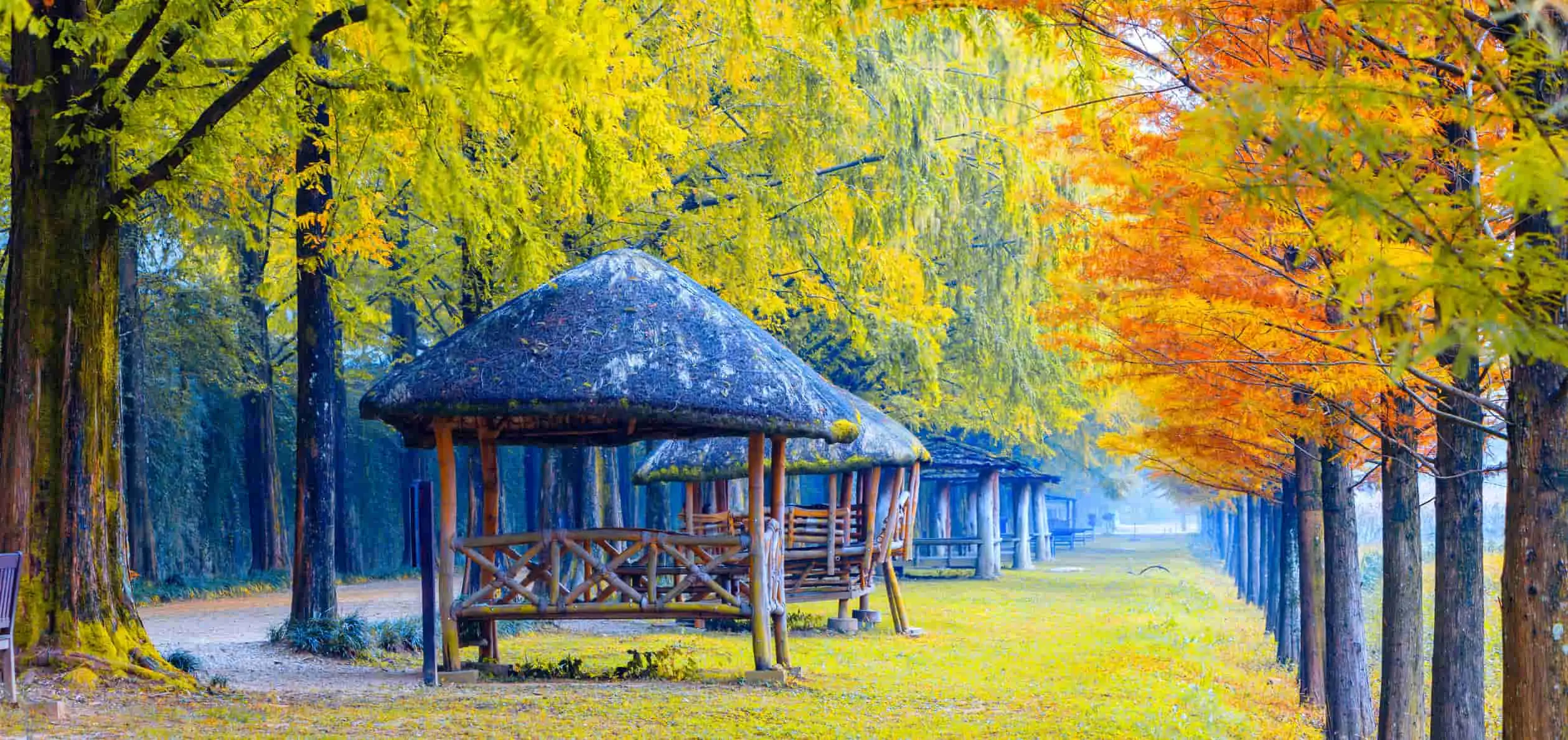 3 Oct south korea nami island