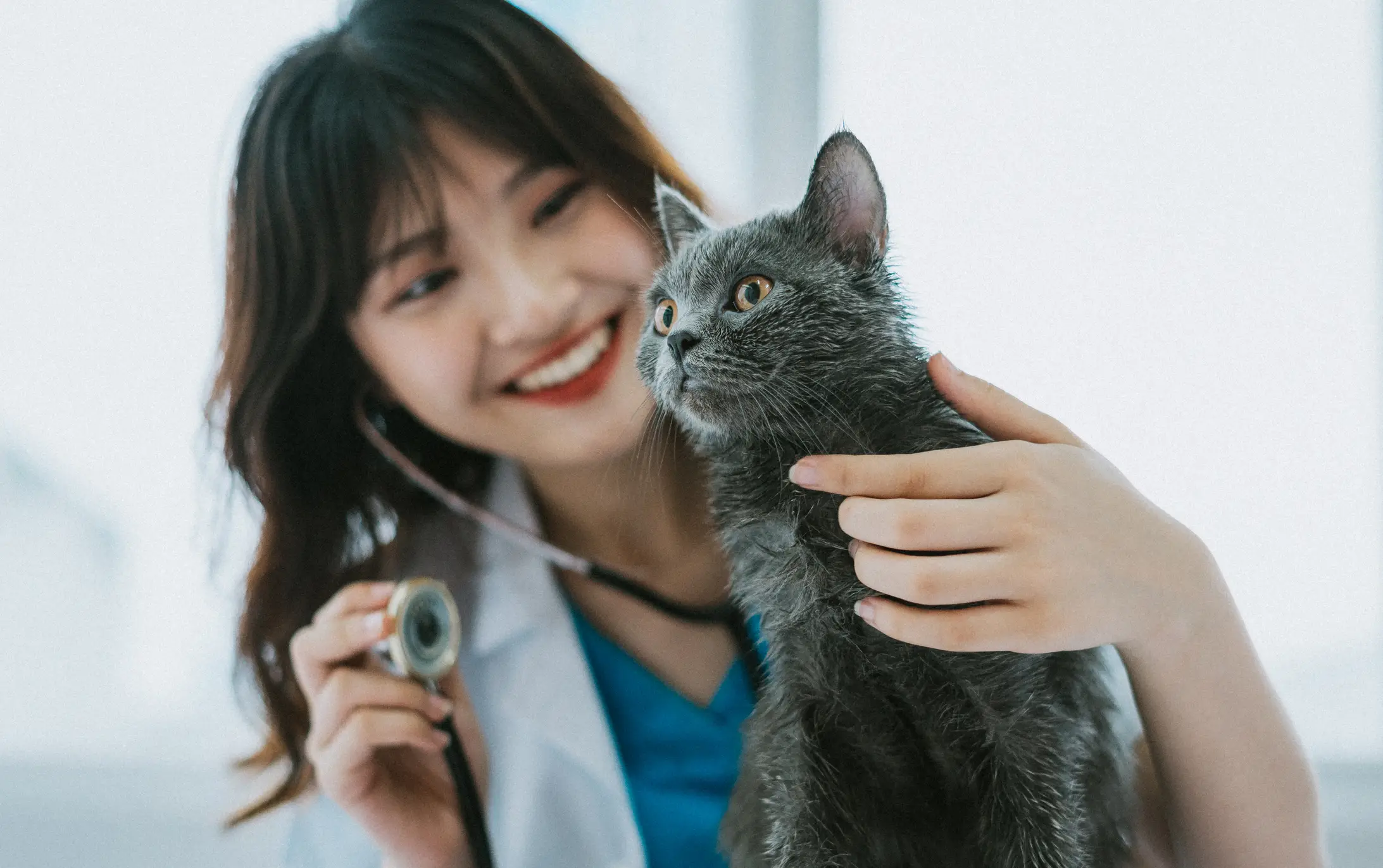 Give My Pet The Best Treatment Give My Pet The Best Treatment