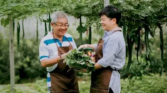 Plan my retiremet Desktop