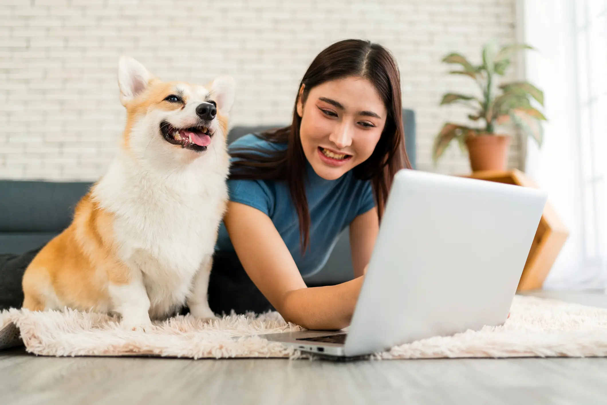 Check My Eligibility for Pet Insurance Check My Eligibility for Pet Insurance
