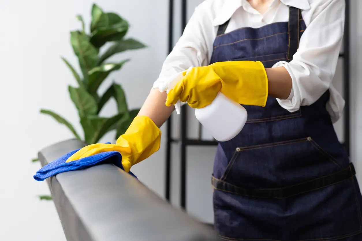 send-domestic-helper-home