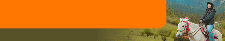 Travel 2026_Blog-Native-Banner Travel 2026_Blog-Native-Banner