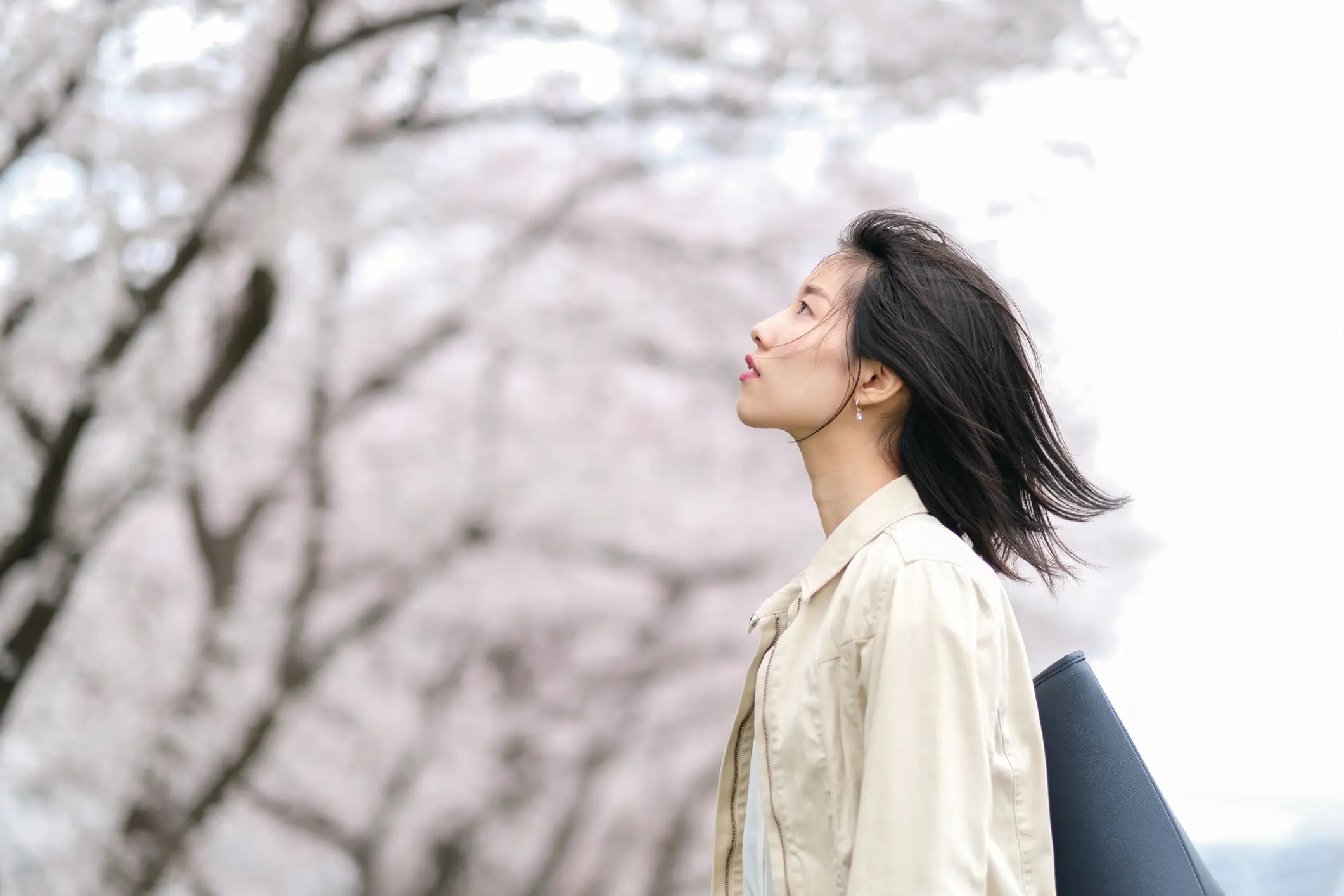 Woman looking at cherry blossoms on travel​