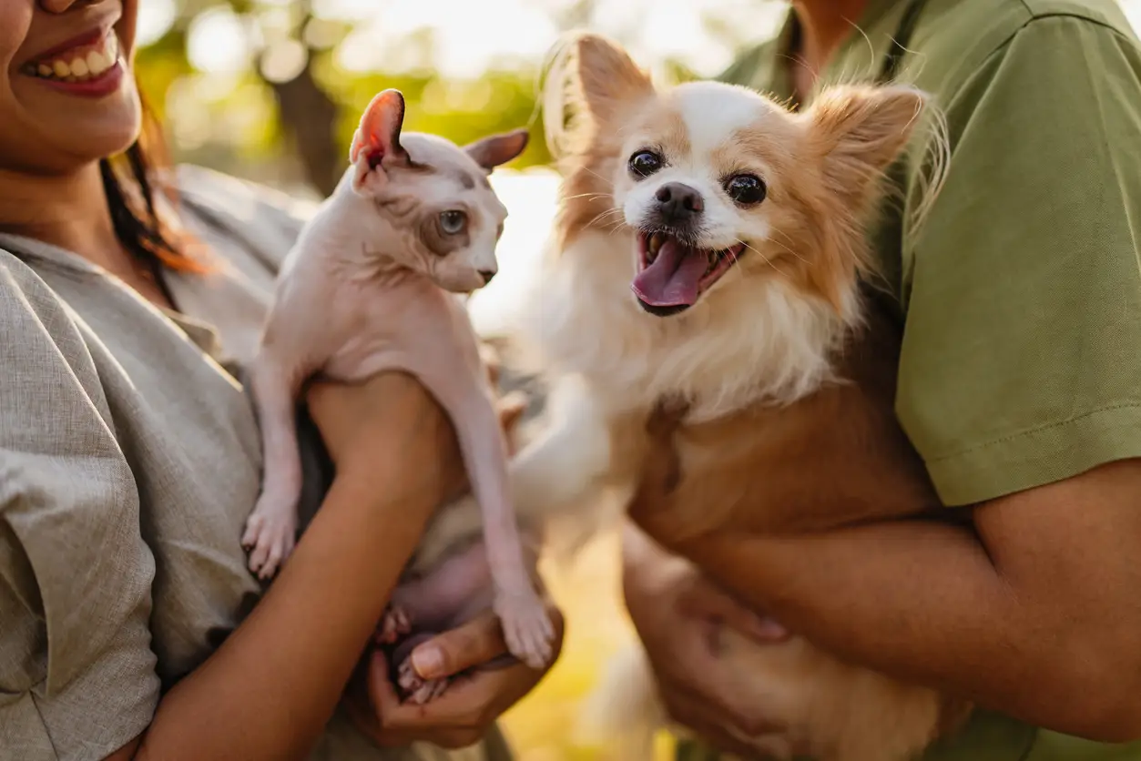 owners-carry-dog-cat-ask-about-best-pet-insurance