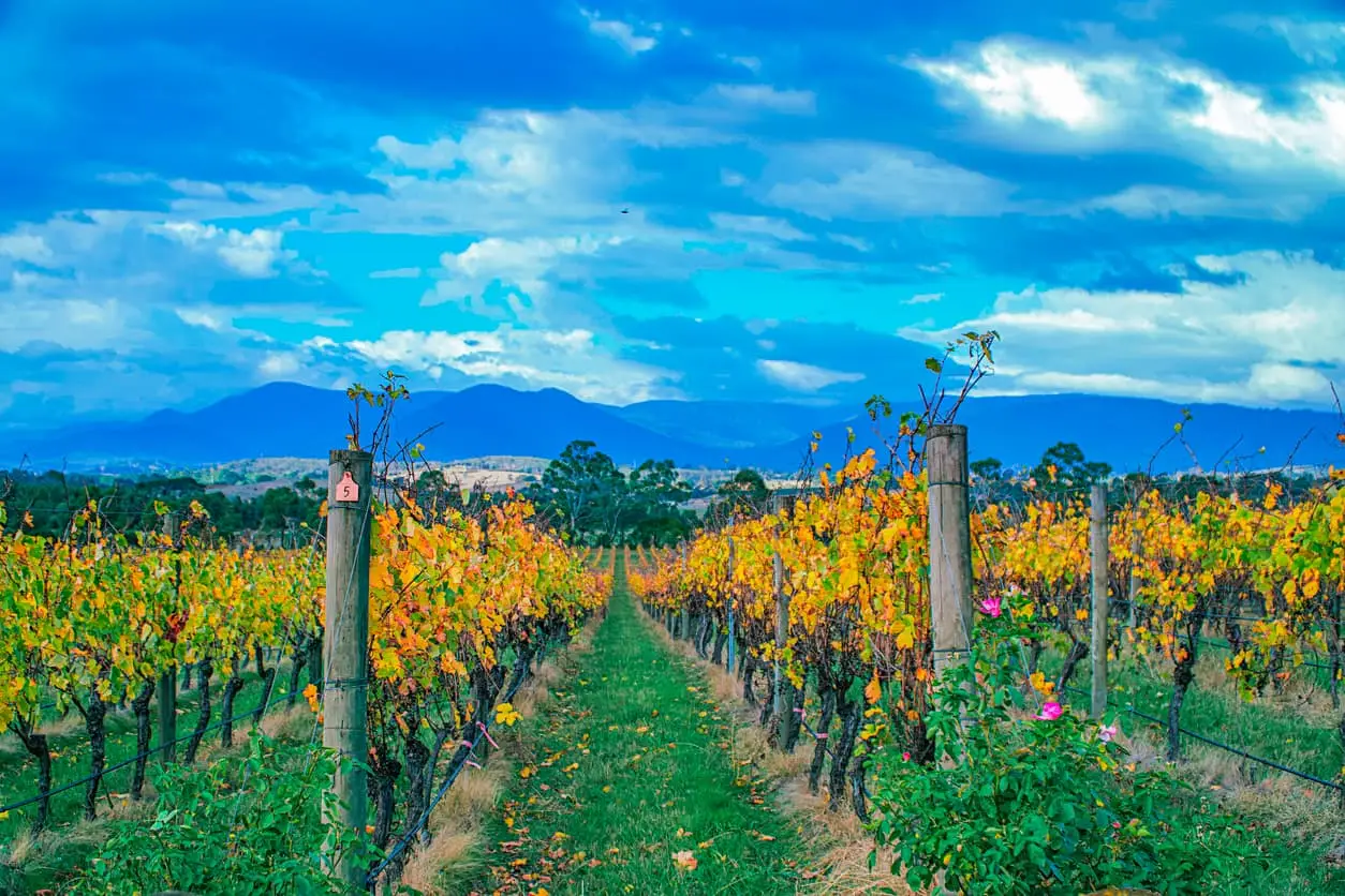 winery in australia
