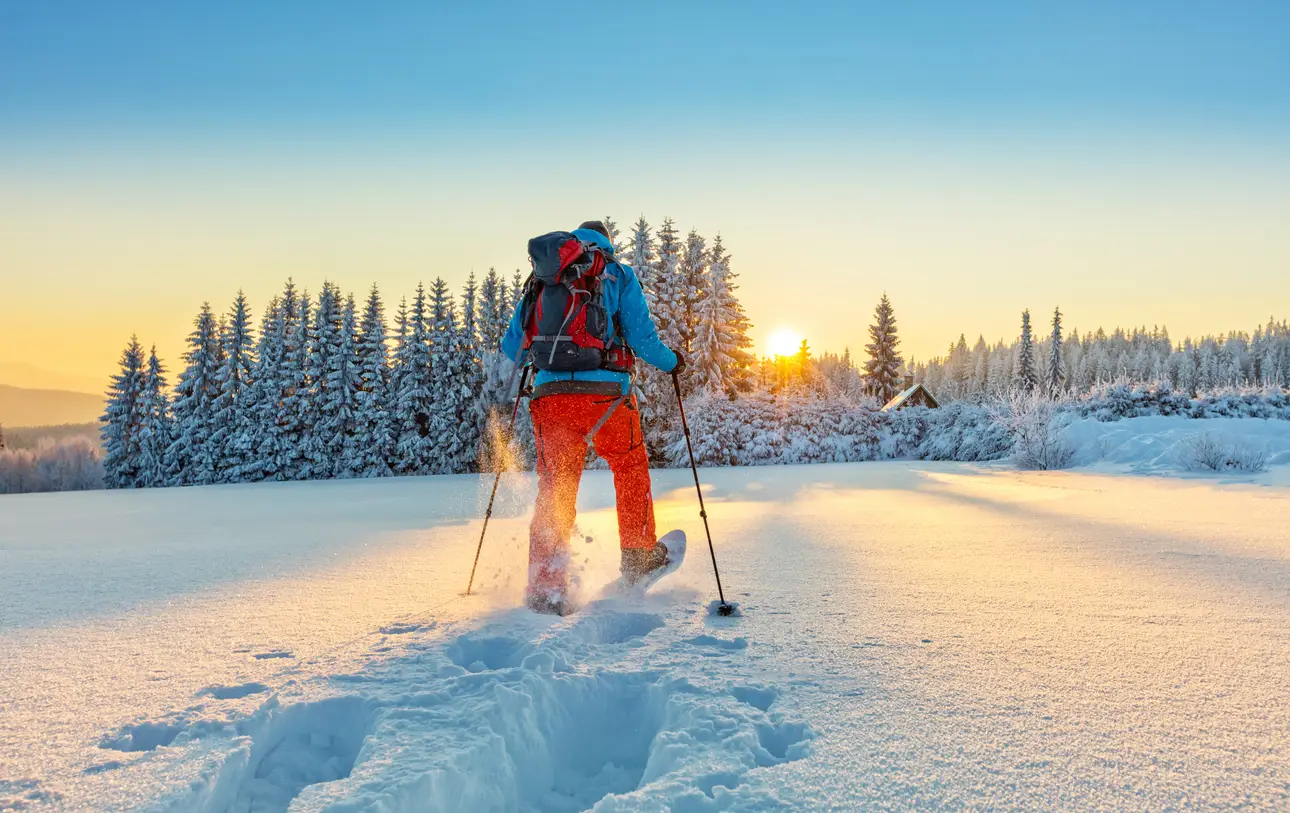 walk-snow-travel-insurance