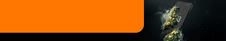 Blog-Native-Banner_H1N1 Blog-Native-Banner_H1N1