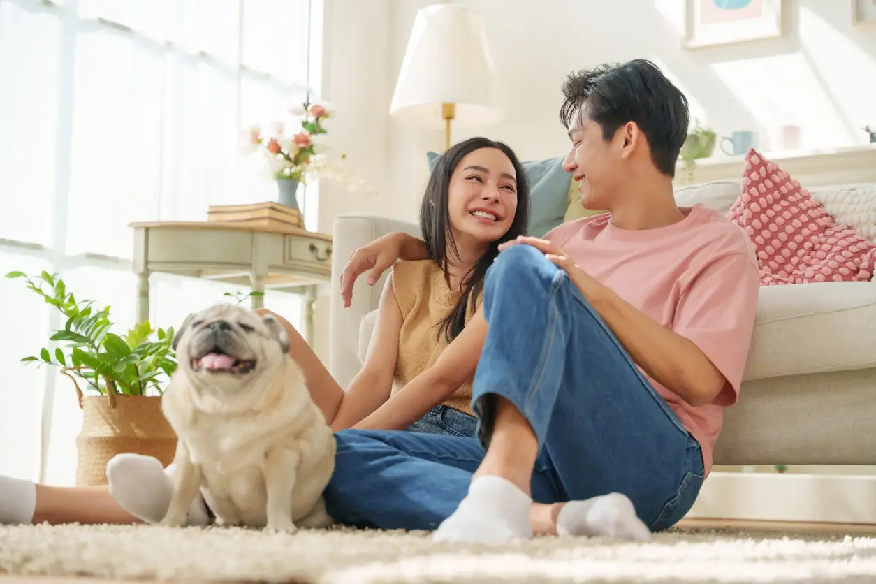 being-a-responsible-pet-parent being-a-responsible-pet-parent