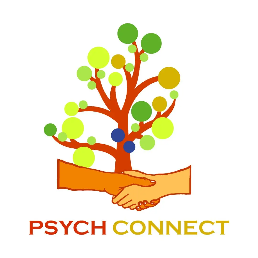 Income Child Secure Project - Partner - Psych Connect Income Child Secure Project - Partner - Psych Connect