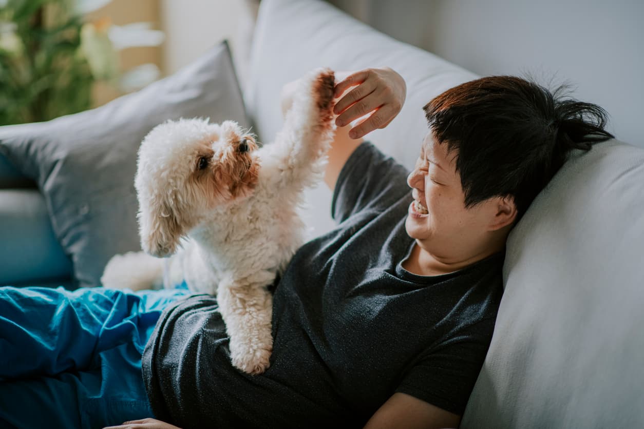 Everything You Need To Know About Adopting a Dog