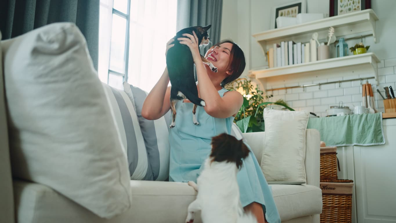 importance of pet insurance-image