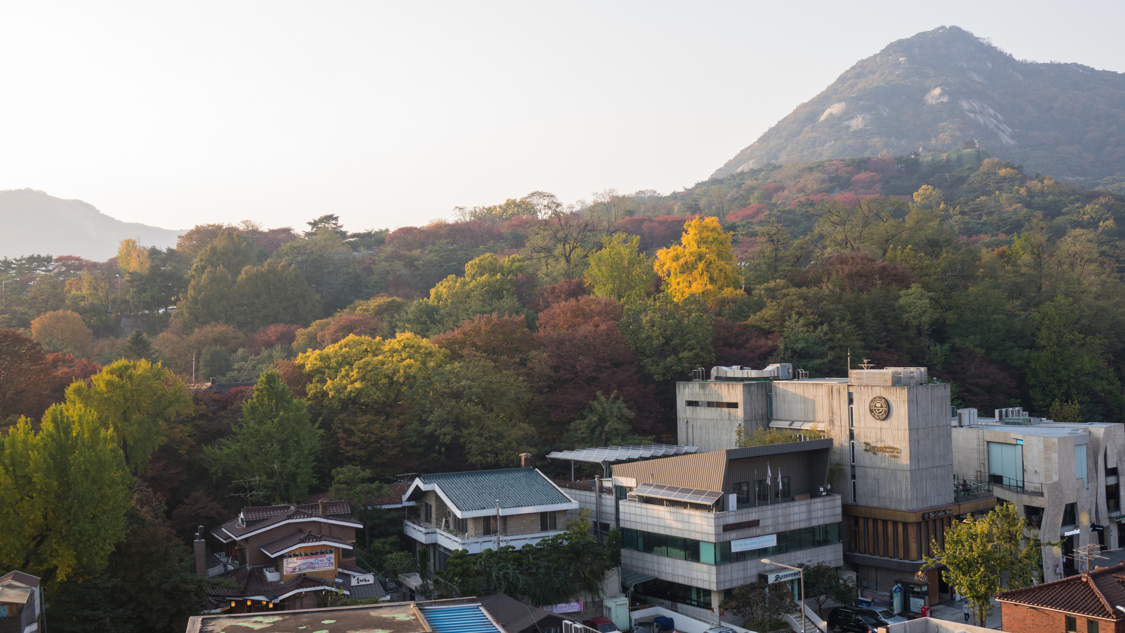 Places to Visit South Korea in Autumn-image