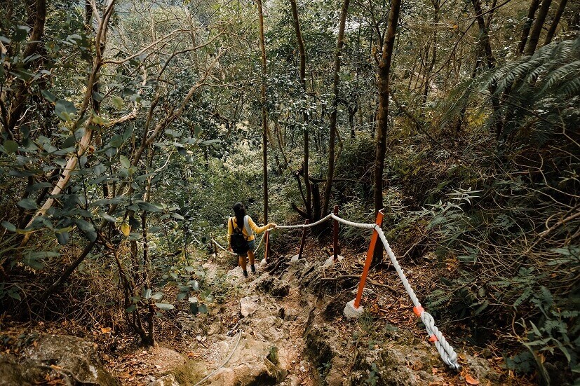 Malaysia, Tioman, Travel, Hiking