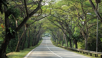 5 Places For A Quiet Ride In Singapore